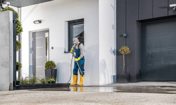 Best Dumpster Area Cleaning  in Williamson, WV